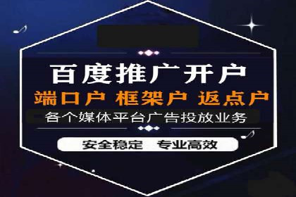 sem百度竞价成功案例：如何精准投放广告